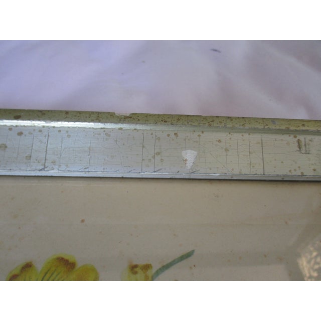 Early 19th Century George Brookshaw (1751-1823) Melon Prints Reproduction - Set of 4 Framed For Sale - Image 15 of 17