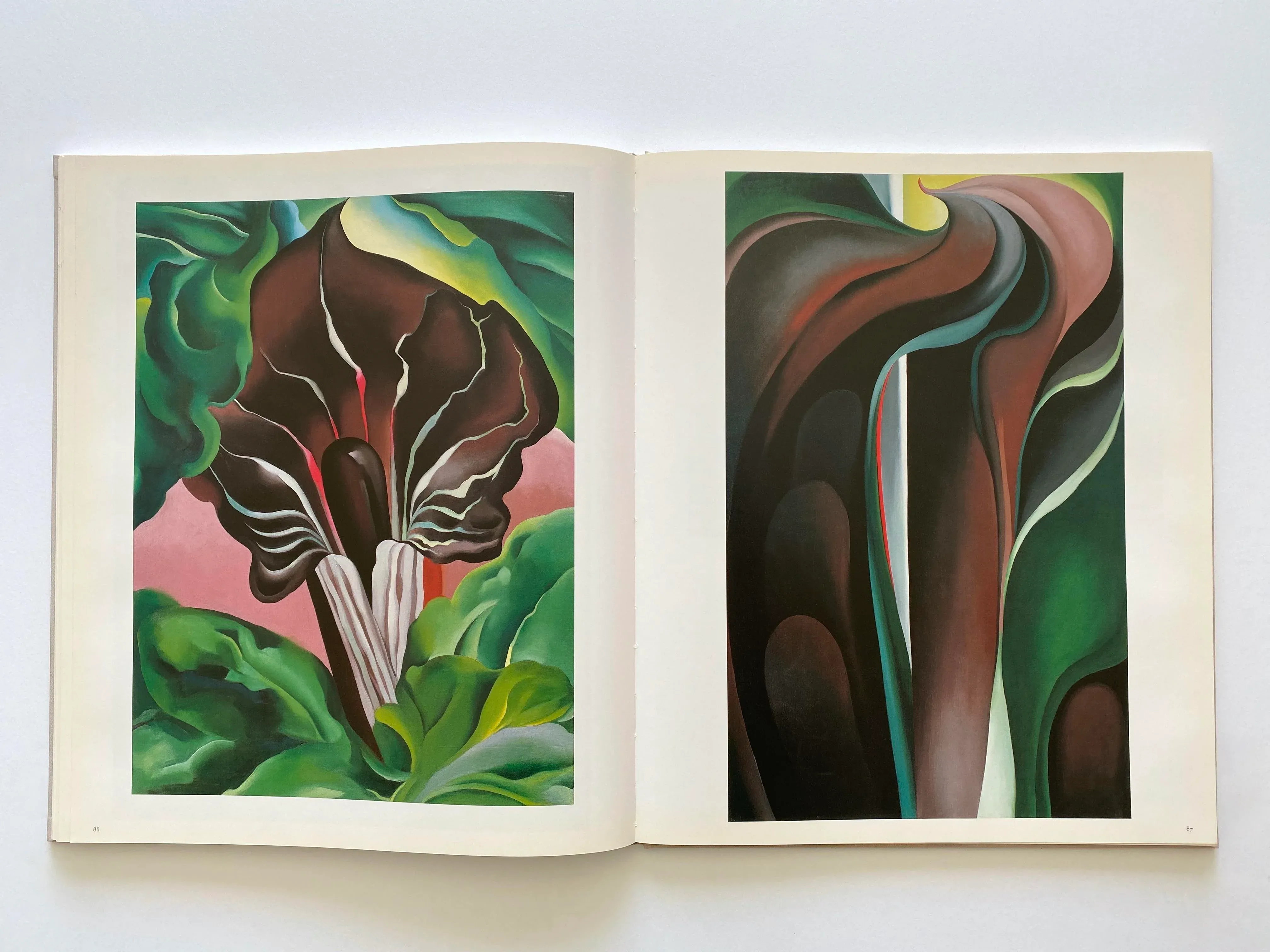 Georgia O'Keeffe : The New York Years 