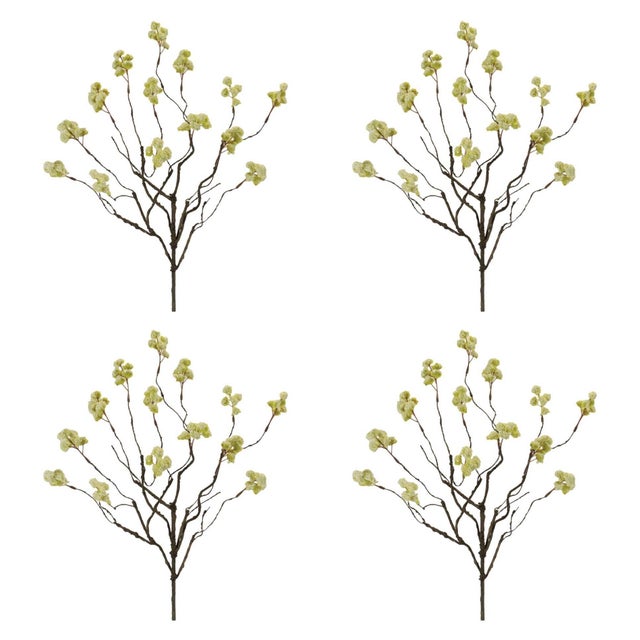 Rustic Floral Twig Spray (Set of 4) For Sale - Image 3 of 3