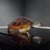 This Lalique Tortue Caroline crystal turtle, model #116390, was handcrafted in France between 1978 and 1999. Executed in...