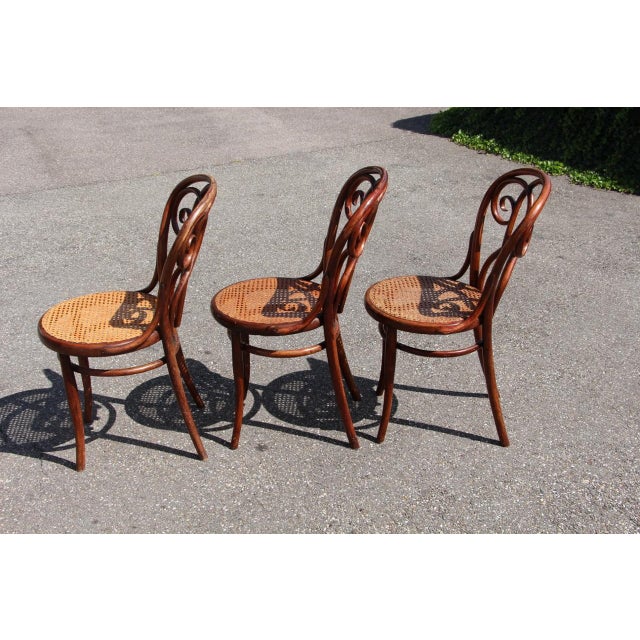 19th Century Bistro Chairs in the style of Thonet, 1890s, Set of 8 For Sale - Image 10 of 14