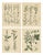 Calwer, Meadow and Fodder Plant Botanical Studies, 1852, Prints, Set of 4 For Sale