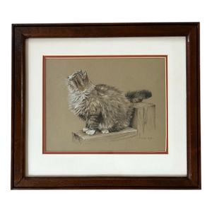 Vintage Pastel Drawing of a Maine Coon Cat in Wood Frame