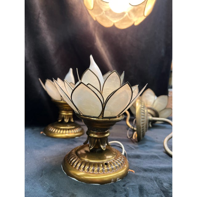 Feldman Lighting 1950s Feldman Lighting Co. With Capiz Shell Petals - Five-Piece Set For Sale - Image 4 of 12