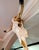 Authentic Texas Longhorn Skull For Sale - Image 4 of 6