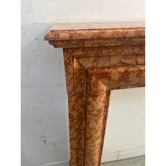 Louis XIV Style Fireplace in Speckled Breccia Marble, 1800s For Sale - Image 5 of 12