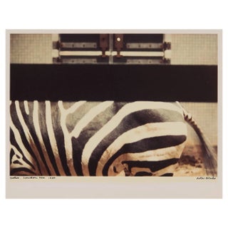 Peter Blake, Zebra, London Zoo, 1980, Chromogenic Photographic Print For Sale