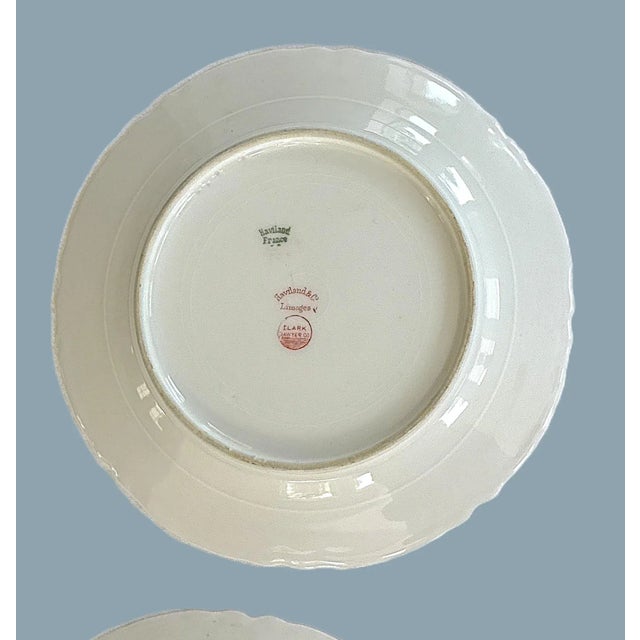 Ceramic Antique Haviland French Limoges Porcelain Floral Plates - Set of 4 For Sale - Image 7 of 11