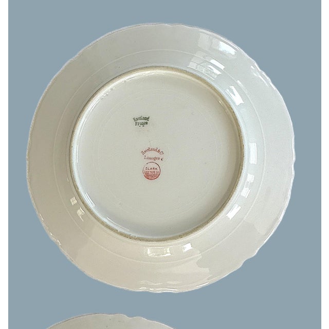Ceramic Haviland Limoges 6" Plates, 1900's - Set of 4 For Sale - Image 7 of 11