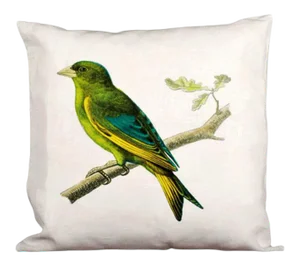Painted Bunting Cardinal Sunbrella Pillow