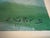 Oskar Koller “Alter Baum” 1993 Extra Large, Signed Limited Edition, 88/1000 For Sale - Image 11 of 14