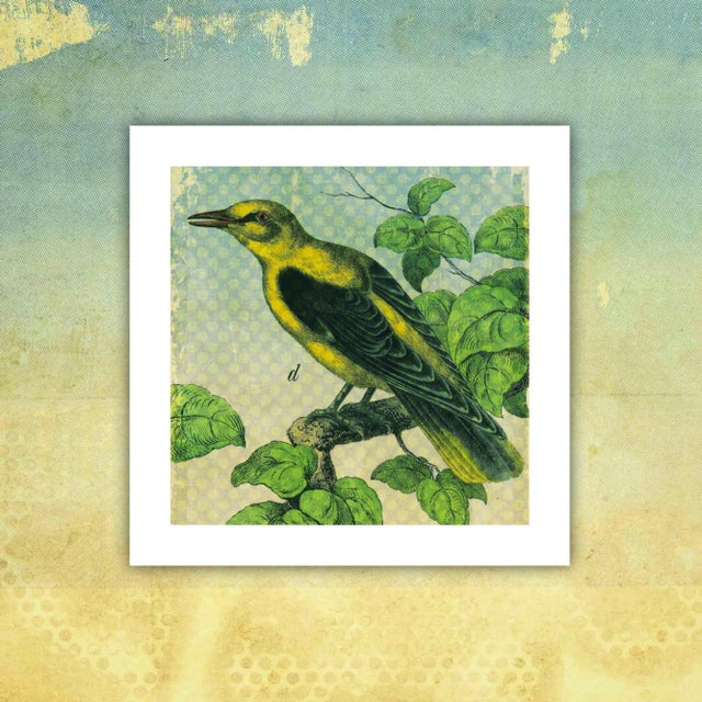 Farmhouse Antique 'Yellow Bird' Archival Print For Sale - Image 3 of 4