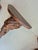 Boho Chic Pair of Vintage Anglo Indian Elephant Bracketts For Sale - Image 3 of 6