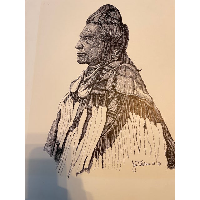 Original Vintage Native American Indian Portrait Pen and Ink Drawing by Jim Tillotson For Sale - Image 11 of 12