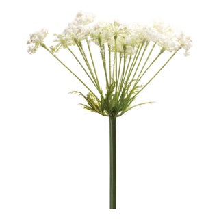 Queen Anne's Lace Stem (Set of 2) For Sale