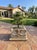 1990s Vintage Neoclassical Cast Stone Planter With Ram's Head and Lion Masks For Sale - Image 5 of 12