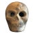 Mexican Terracotta Memento Mori Skull For Sale