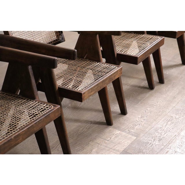 Office Cane Chairs from Pierre Jeanneret, India, 1950s, Set of 8 For Sale - Image 11 of 18