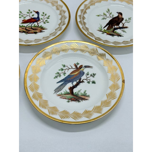 5, French Nast Factory "Ornithological" Porcelain Dessert Plates C. 1815 For Sale - Image 4 of 11
