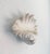 Serge Roche Style Clam Shell Wall Pockets - A Pair For Sale - Image 11 of 13