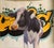 Vaca by Ali Ghassan | Oil Painting of a cow with graffiti background For Sale