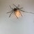 Copper Mid-Century Modern Spider Wall Lamp, 1960s For Sale - Image 8 of 18