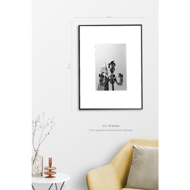 Paul Cooklin, Pigeons, Saint Marks Square, Edition of 50 For Sale - Image 4 of 7