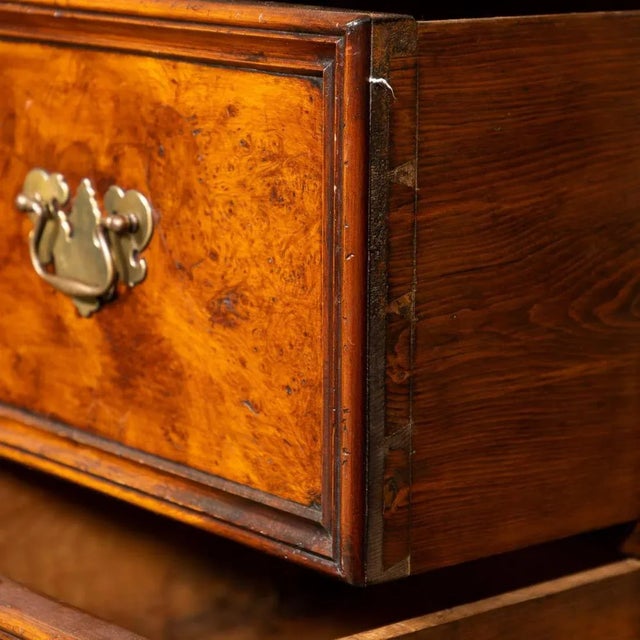 Wood 19th Century English Walnut and Pine Collectors Cupboard For Sale - Image 7 of 8