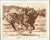 American Vintage 1982 Original Etching of Legendary Race Horse “Affirmed” in a Race For Sale - Image 3 of 6