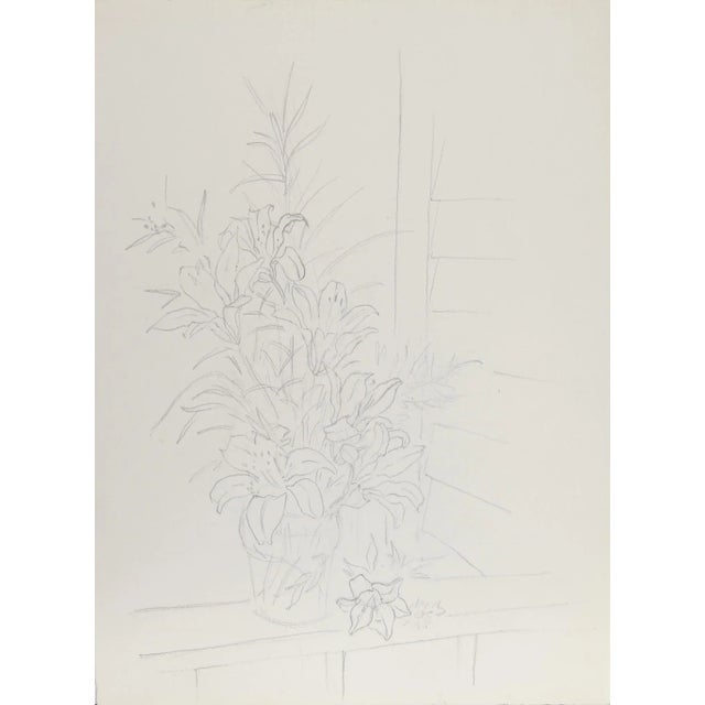 Contemporary Eve Nethercott, Lilies (45), Pencil on Paper For Sale - Image 3 of 3