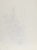 Contemporary Eve Nethercott, Lilies (45), Pencil on Paper For Sale - Image 3 of 3