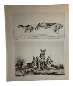 1930 Greyhounds and Shepards Dog Print
