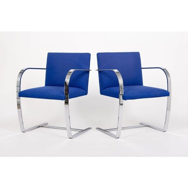 Mid Century Blue Brno Chairs by Mies Van Der Rohe for Knoll, 2006 For Sale - Image 11 of 13