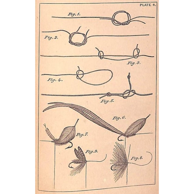 White "Angling" 1877 Francis, Francis For Sale - Image 8 of 8