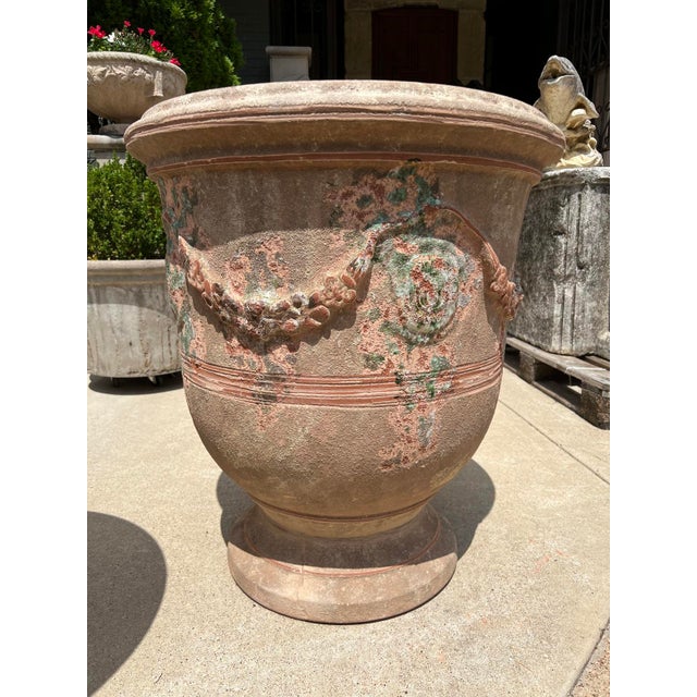 Terra Cotta Pair of Antiqued Lemon or Orange Tree Anduze Pots From the Cevennes, France For Sale - Image 8 of 12