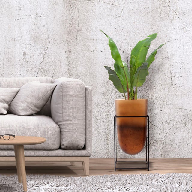 Bronze Euler Vase with Black Iron Stand- Tall For Sale - Image 11 of 11