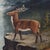 The Hudson River School Hudson River School Oil on Canvas Painting of a Mountain Wilderness C1890 For Sale - Image 3 of 13