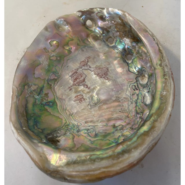 Beautiful Vintage Abalone Shell For Sale - Image 4 of 5