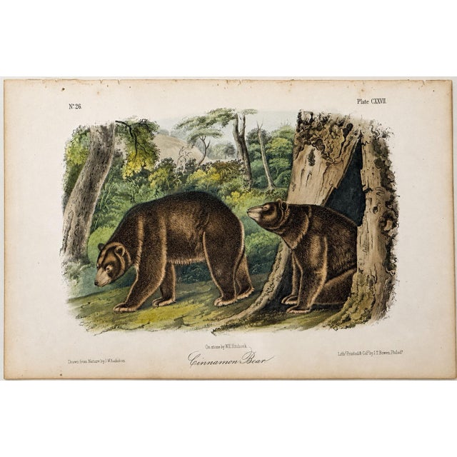 Cabin Cinnamon Bear Octavo Lithograph by John James Audubon, 1842 For Sale - Image 3 of 3