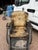 Antique Victorian Bath Chair For Sale - Image 6 of 11
