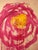 Contemporary Cy Twombly Roses Poster For Sale - Image 3 of 3