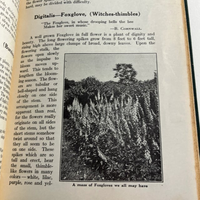 1927 Little Book of Perennials For Sale - Image 10 of 13