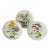 Minton Botanical Flower Spray Plates For Sale