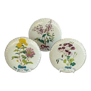 Minton Botanical Flower Spray Plates