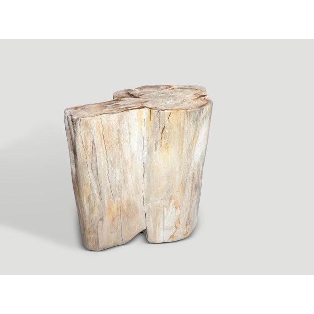 Andrianna Shamaris Impressive High Quality Ancient Petrified Wood Side Table For Sale In New York - Image 6 of 7
