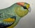 Late 19th Century Antique Color Woodblock Prints From w.t. Greene’s “Parrots in Captivity” with Frame Matte and Validation From the Trowbridge Gallery - Set of 2 For Sale - Image 5 of 9