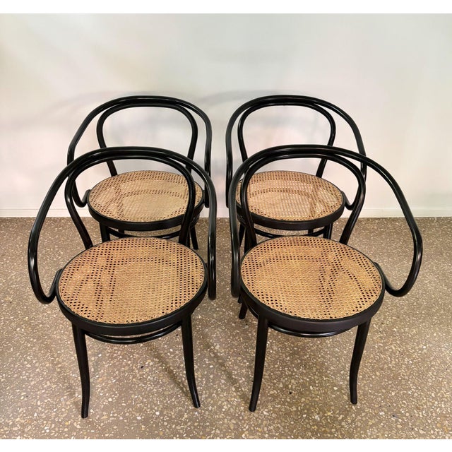 Model B9/209 Armchairs, 1970s, Set of 4 For Sale - Image 4 of 14