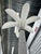 1980s Glamorous Hollywood Regency White Palm Tree Floor Lamp in the Style of Dario Bartolini For Sale - Image 14 of 15