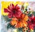 Original Watercolor painting with ink of orange and red dahlias growing in my greenhouse. Painted with Daniel smith...