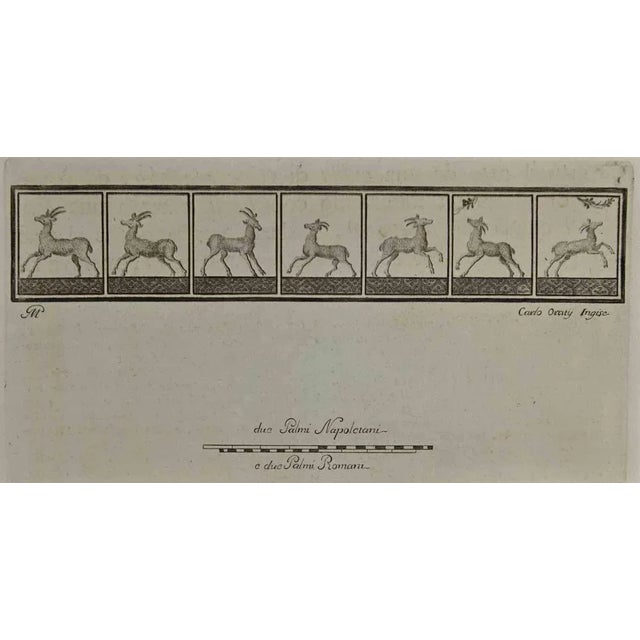 Ancient roman fresco from the series "antiquities of herculaneum", is an etching on paper realized by carlo ortij in the...